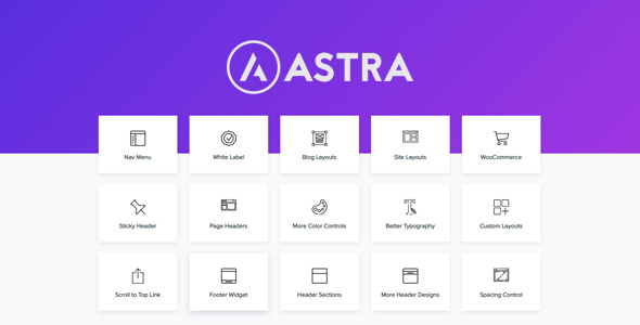 Astra Pro Addon 4.3.1 – Wordpess Theme For Any Website-WordPress精品站