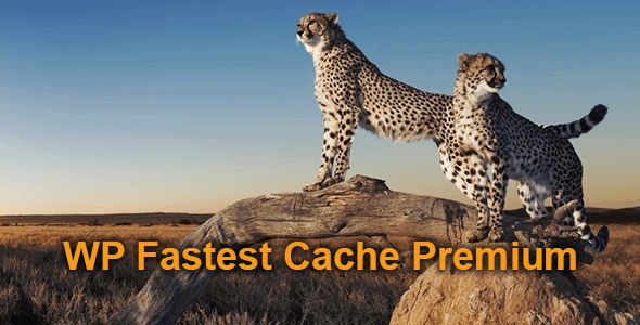 WP Fastest Cache Premium 1.6.9 – WordPress Cache Plugin-WordPress精品站