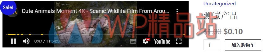 WooCommerce 1.5.0 的产品视频-watermark