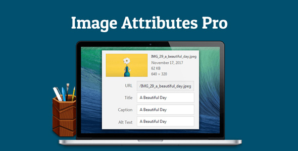 Auto Image Attributes 图像属性 Pro 4.3.0-WordPress精品站