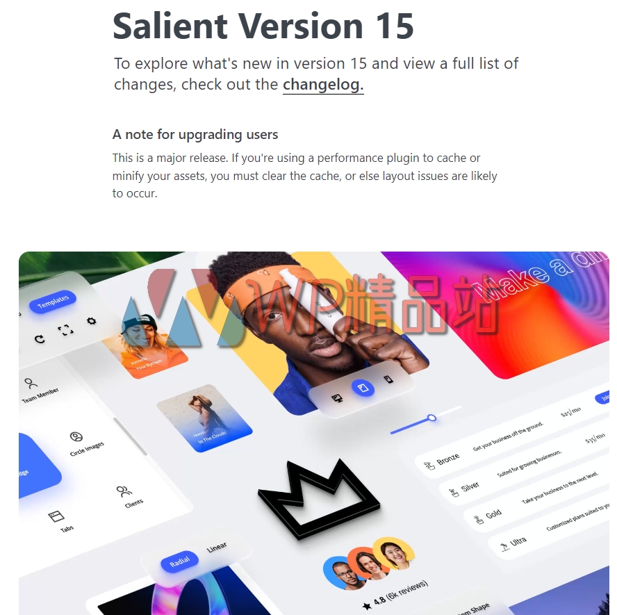 salient-15-0-9-响应式多用途-wordpress-主题
