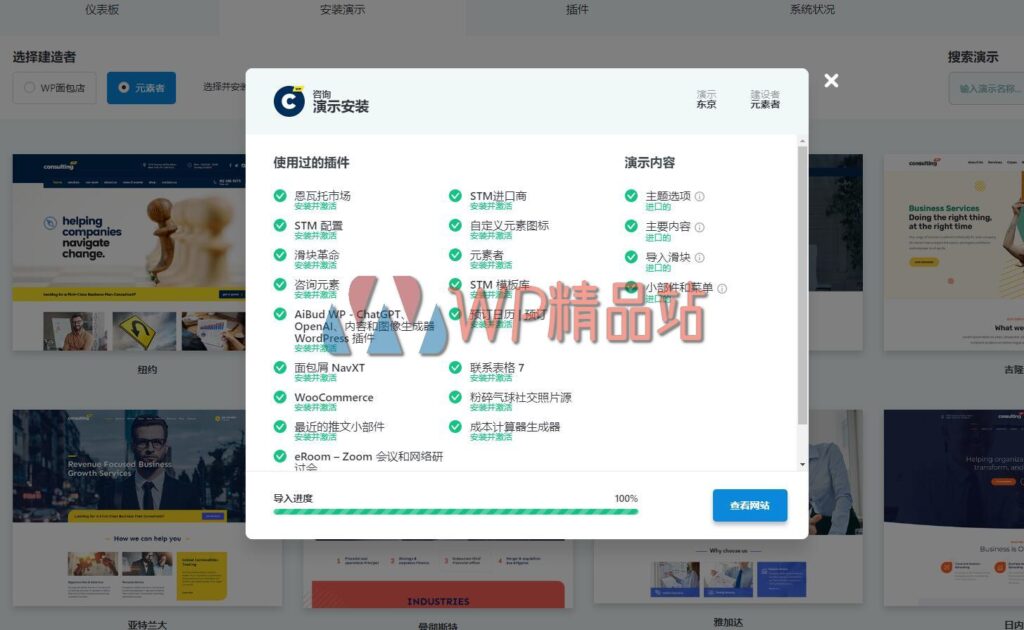 Consulting-demo-watermark-wpjp.site