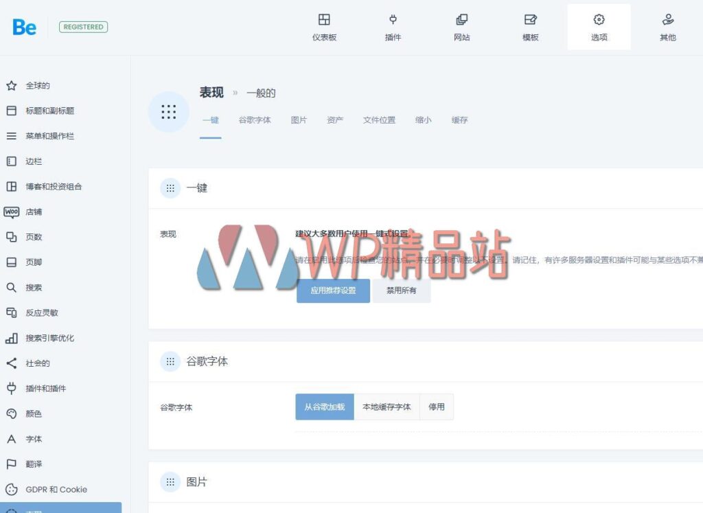 Betheme Options-watermark-wpjp.site