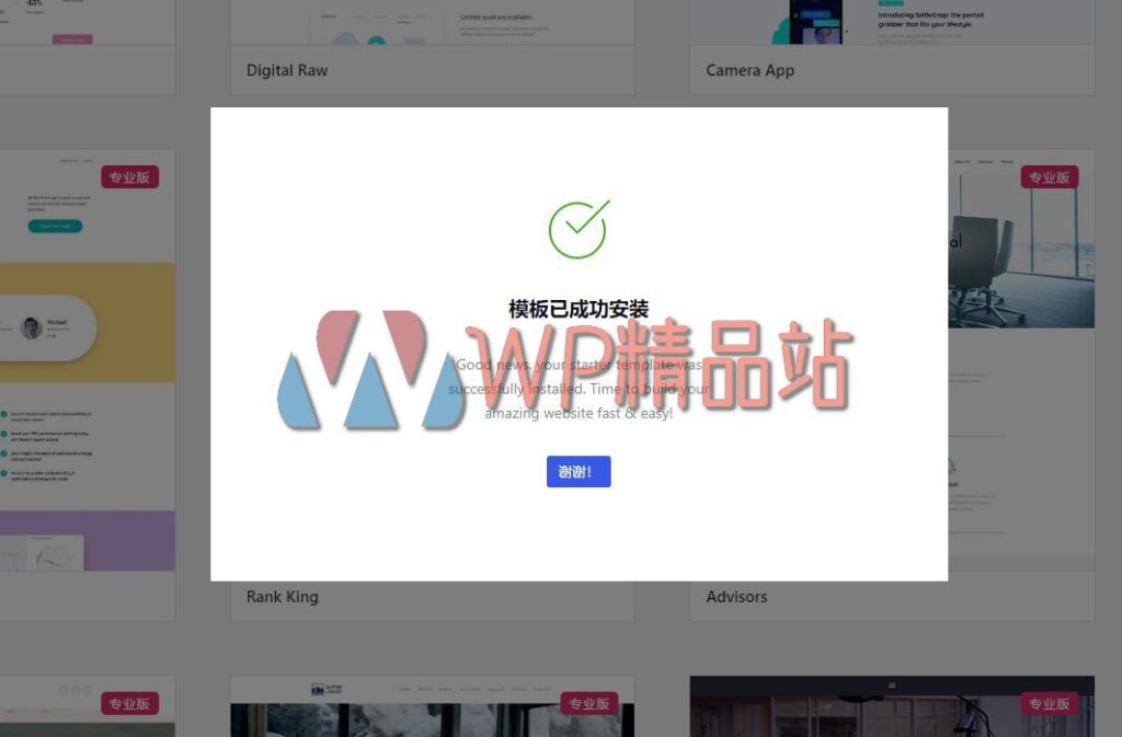 Brizy-demo-watermark-wpjp.site