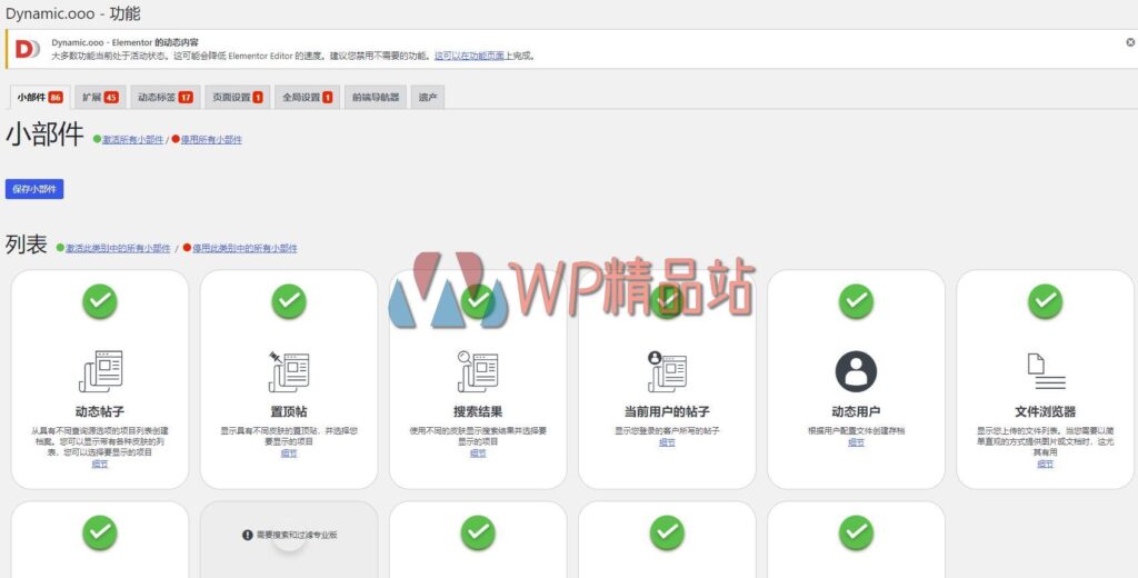 Dynamic Content Options-watermark-wpjp.site