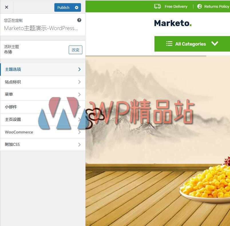 Marketo Options-watermark-wpjp.site