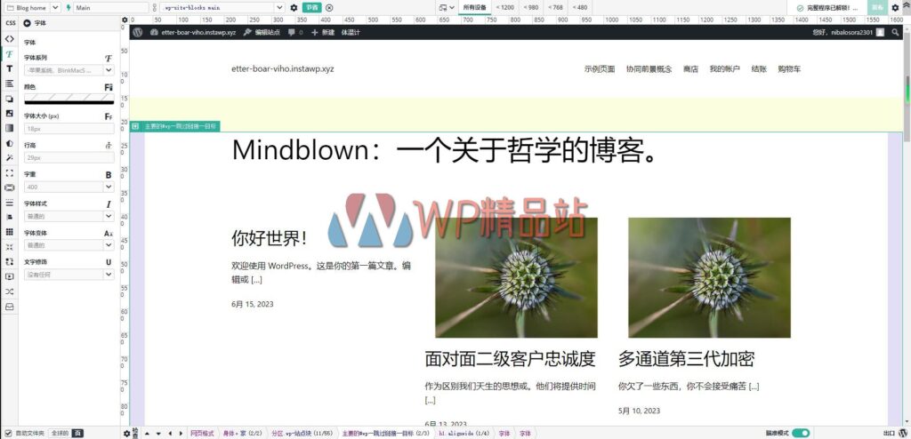 Microthemer Settings-watermark-wpjp.site