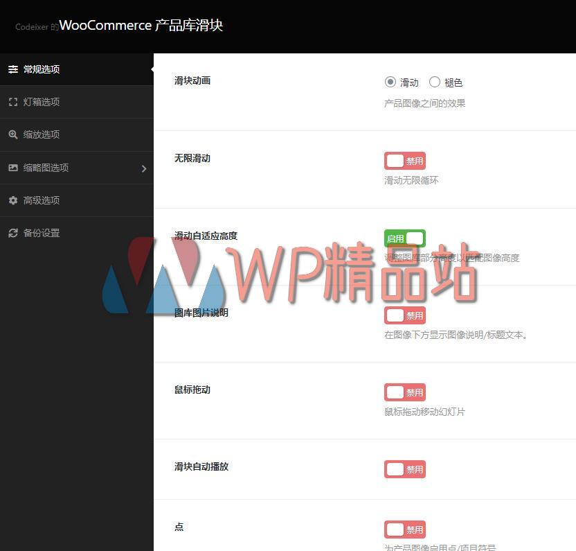 Product Gallery Slider Settings-watermark-wpjp.site
