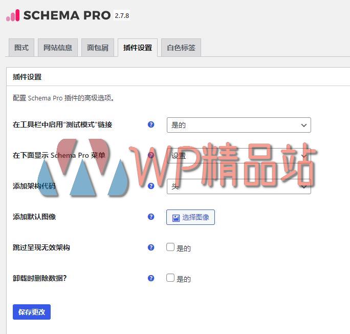 Schema Settings-watermark-wpjp.site
