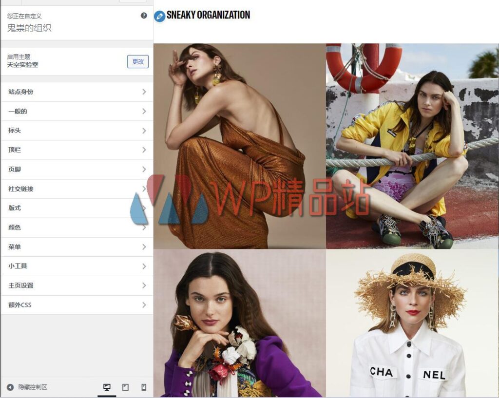 Skylab Options-watermark-wpjp.site