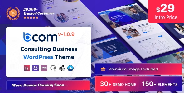 Bcom 1.0.9 – 咨询业务 Consulting Business-WordPress精品站