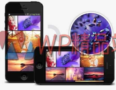 Adapts to anything-watermark-wpjp.site