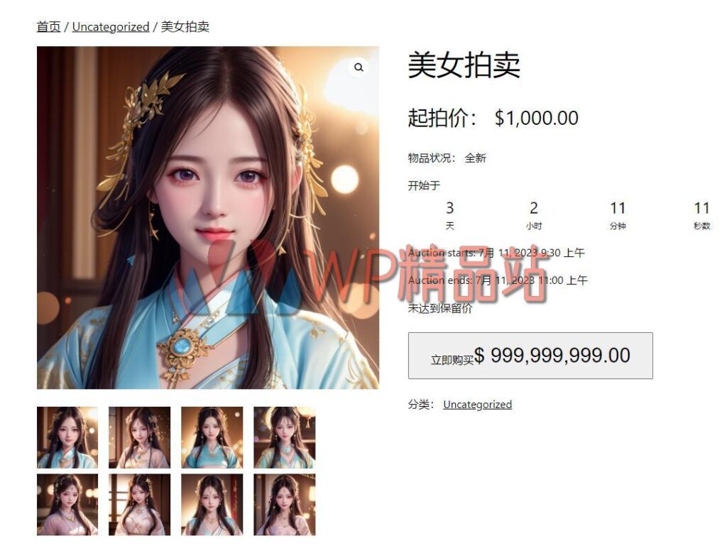 Auctions for WooCommerce-watermark-wpjp.site