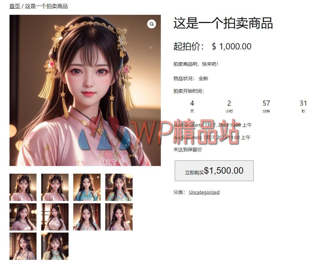 Auctions-watermark-wpjp.site