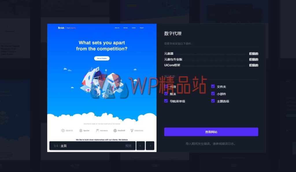 Brisk Demo-watermark-wpjp.site