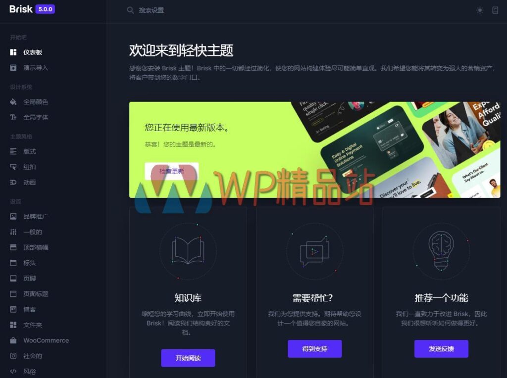 Brisk Settings-watermark-wpjp.site