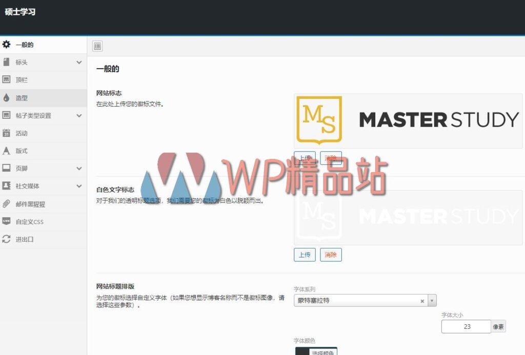 Masterstudy Options-watermark-wpjp.site