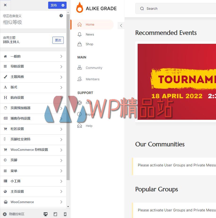 TeamHost Customize-watermark-wpjp.site