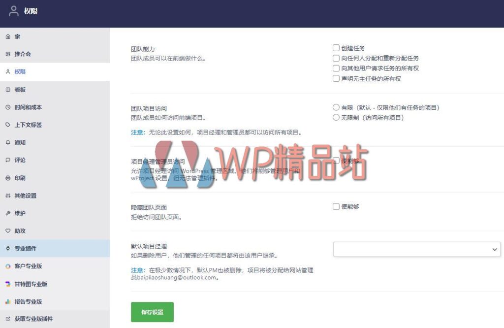 wProject Options-watermark-wpjp.site
