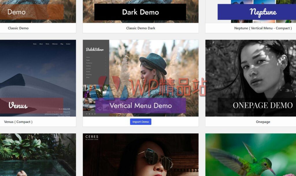 Blacksilver Demos-watermark-wpjp.site