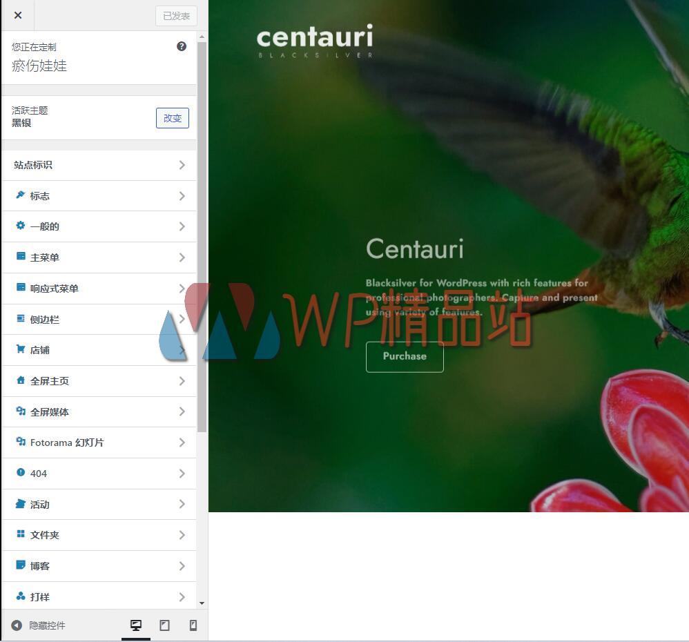 Blacksilver Options-watermark-wpjp.site
