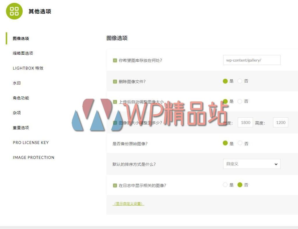 NextGEN Gallery Other Options-watermark-wpjp.site