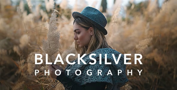 Blacksilver 8.9.9 | Photography Theme for WordPress-WordPress精品站