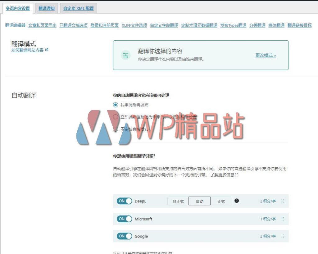 WPML Multilingual CMS Settings-watermark-wpjp.site