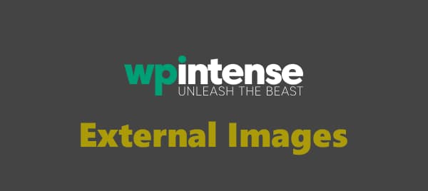 External Images by WP Intense 2.98-WordPress精品站