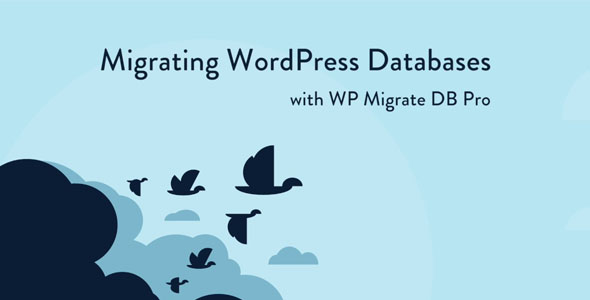 WP Migrate DB Pro 2.6.10 – Migrating WordPress Databases-WordPress精品站